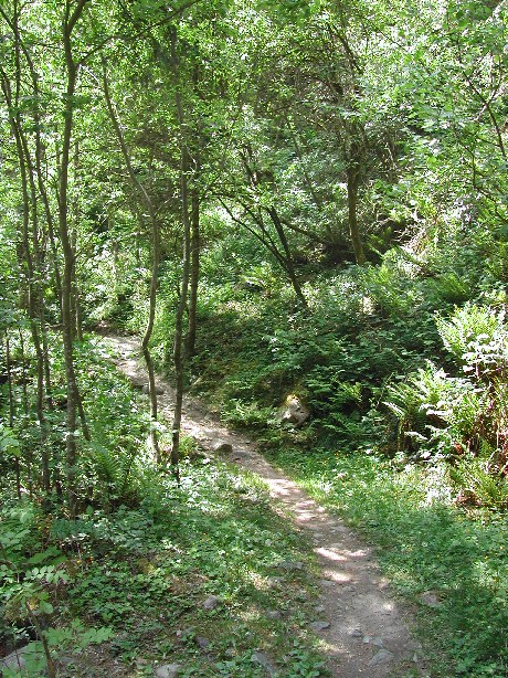 Waalweg Dorf Tirol ob Meran